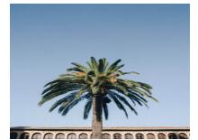 普通人可以选择一些什么兼职来做