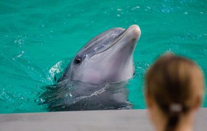 大学生利用周末选择什么兼职做好？